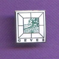 Rare Pins Geves  Egf Demons Et Merveilles   T145 - Amministrazioni