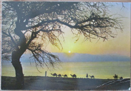 ISRAEL DEAD SEA DESERT YEHUDA SUNRISE CP PC AK CARTOLINA POSTCARD ANSICHTSKARTE CARTE POSTALE CARD PHOTO - Israel