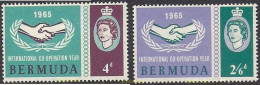 627675 MNH BERMUDAS 1965 COOPERACION INTERNACIONAL - Bermudas