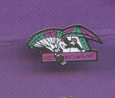 Rare Pins Ratp Les Ailes Du Ticket Parachute Delta Plane  T147 - Transport Und Verkehr