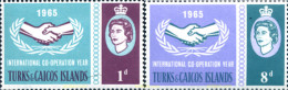 244505 MNH TURKS Y CAICOS 1965 20 ANIVERSARIO DE LAS NACIONES UNIDAS - Turcas Y Caicos