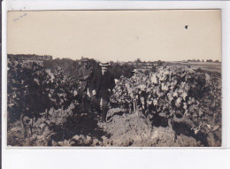 GIRONDE: Vignes, Vendanges - Très Bon état - Sonstige & Ohne Zuordnung