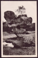 FONTAINEBLEAU LA FORET FRANCHARD LE SPHINX DES DRUIDES 77 - Fontainebleau