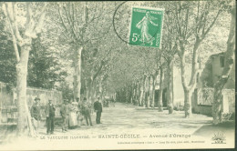 CP CPA Le Vaucluse Illustré Sainte Ste Cécile Avenue D'Orange CAD 1911 - Autres & Non Classés