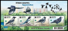 BELARUS 2024 FAUNA Animals. Birds. Corvids CROW MAGPIE - Fine S/S MNH - Bielorrusia