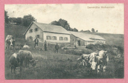 68 - Hautes Vosges - Sennhütte MOLKENRAIN - Melkerei - Ferme - Auberge - Wirtschaft Joseph KOLB - Feldpost - Sonstige & Ohne Zuordnung