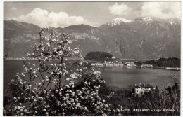 BELLAGIO - LAGO DI COMO - 1959 - Vedi Retro - Formato Piccolo - Como