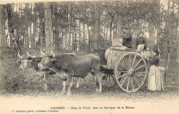 40 LANDES. Mise En Barrique De La Résine Dans La Forêt. Attelage Boeufs Pour Vieux Métiers - Sonstige & Ohne Zuordnung