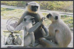 Bangladesh 2012 Postcard Endangered Animals, Hanuman Langur, Monkey - Bangladesh