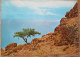 ISRAEL DEAD SEA QUMARAN EIN FACHKHA HOT SPRING CARTE POSTALE KARTE POSTCARD ANSICHTSKARTE CARTOLINA CARD POSTKARTE - Israel