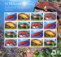 268279 MNH SANTA ELENA 2011 FAUNA MARINA. WWF - Isola Di Sant'Elena