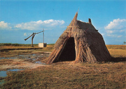 AUTRICHE - Apetlon - PuBtabrunnen Im Seewinkel - Burgenland - Osterreich - Carte Postale - Neusiedlerseeorte