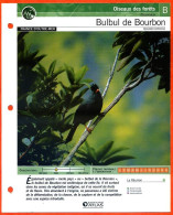 BULBUL DE BOURBON Oiseau Illustrée Documentée  Animaux Oiseaux Fiche Dépliante - Tiere