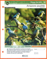 AMAZONE POUDREE Oiseau Illustrée Documentée  Animaux Oiseaux Fiche Dépliante - Dieren