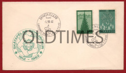 ISLAND - SCOUTS - SKATAFELAG REYKJAVIKUR - 1912 - 1962 - PINGVELLIR 1962 ENVELOPE - Scoutisme