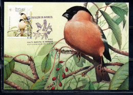 PORTUGAL AZZORRE AZORES AçORES 1990 WWF BIRDS PYHRRULA MURINA TWO ADULTS BIRD 2e MAXIMUM MAXI CARD CARTE - Azores