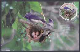 Bangladesh 2012 Postcard BLack-Naped Monarch, Bird, Birds, Odd-shape - Bangladesh