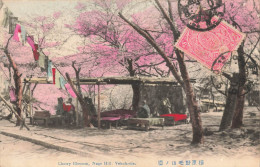 CP. JAPAN. CHERRY BLOSSOM, NOGE HILL. YOKOHAMA - Sonstige & Ohne Zuordnung