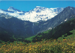 SUISSE - Blumenwiese Ob Adelboden - Steghorn - Wildstrubel Und Fitzer - Carte Postale - Sonstige & Ohne Zuordnung