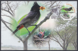 Bangladesh 2012 Postcard Red-vented Bulbul, Parrot, Bird, Birds, Odd-shape - Bangladesh