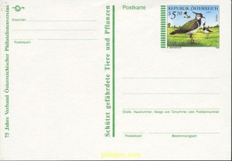 211755 MNH AUSTRIA 1996 AVES - Nuevos