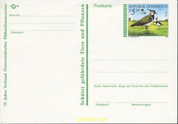 211755 MNH AUSTRIA 1996 AVES - Neufs