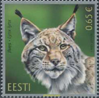 581705 MNH ESTONIA 2017 FAUNA - FELINOS - Estland