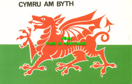 R582760 Cymru Am Byth. Photo Precision Limited. Colourmaster International - World