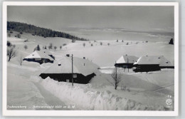 51392506 - Todtnauberg - Todtnau