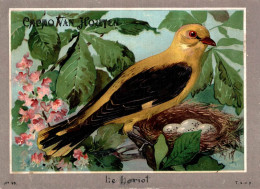 CHROMO CACAO VAN HOUTEN LES OISEAUX LE LORIOT N°30 - Van Houten