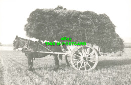 R582823 Prince With A Load Of Sheaves At Pistone Green Farm In 1934. Pistone Loc - World