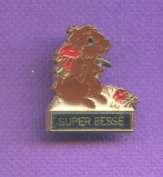 Rare Pins  Super Besse Marmotte   T171 - Cities