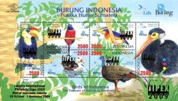 334990 MNH INDONESIA 2009 AVES DE LOS BOSQUES DE SUMATRA - Indonesia