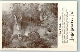 13146306 - Politik Schweiz Jagdgesetz Hase - Hunting