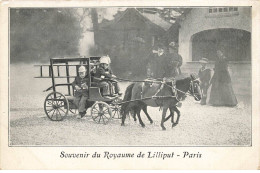 ARTISTE #AS36670 ROYAUME DE LILIPUT PARIS PETITS SAPEURS POMPIERS SUR UN ATTELAGE - Artisti