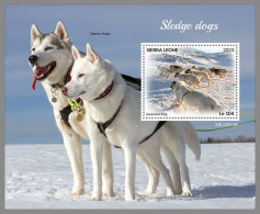 SIERRA LEONE 2023 MNH Sledge Dogs Schlittenhunde S/S – OFFICIAL ISSUE – DHQ2418 - Perros