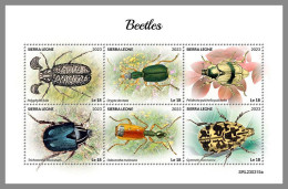 SIERRA LEONE 2023 MNH Beetles Käfer M/S – OFFICIAL ISSUE – DHQ2418 - Beetles