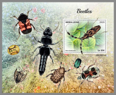 SIERRA LEONE 2023 MNH Beetles Käfer S/S – OFFICIAL ISSUE – DHQ2418 - Coléoptères