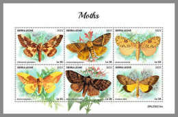 SIERRA LEONE 2023 MNH Moths Motten M/S – OFFICIAL ISSUE – DHQ2418 - Sonstige & Ohne Zuordnung