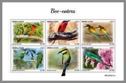 SIERRA LEONE 2023 MNH Bee-eaters Bienenfresser M/S – OFFICIAL ISSUE – DHQ2418 - Otros & Sin Clasificación