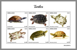 SIERRA LEONE 2023 MNH Turtles Schildkröten M/S – OFFICIAL ISSUE – DHQ2418 - Turtles