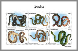 SIERRA LEONE 2023 MNH Snakes Schlangen M/S – OFFICIAL ISSUE – DHQ2418 - Serpenti