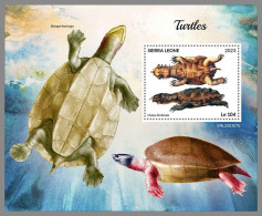 SIERRA LEONE 2023 MNH Turtles Schildkröten S/S – OFFICIAL ISSUE – DHQ2418 - Tartarughe