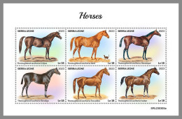 SIERRA LEONE 2023 MNH Horses Pferde M/S – OFFICIAL ISSUE – DHQ2418 - Pferde