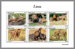 SIERRA LEONE 2023 MNH Lions Löwen M/S – OFFICIAL ISSUE – DHQ2418 - Roofkatten