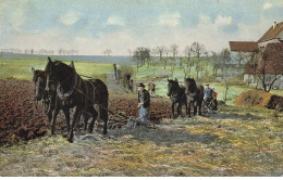 AGRICULTURE #AS36609 ATTELAGE SCENE DE LABOUR HERSE HERSAGE CHEVAUX PAYSANS - Equipos