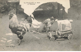 OISEAUX #MK39596 LA PROMENADE EN AUTO ET L ESCORTE POULES ET COQ - Birds