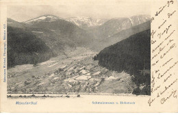 ALLEMAGNE #AS30726 MUENSTERTAL SCHMELZWASEN U HOHENECK - Münstertal