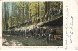 ETATS UNIS #MK34655 U.S CAVALRY ON FALLEN MONARCH MARIPOSA BIG TREE GROVE GRAND ARBRE - Otros & Sin Clasificación