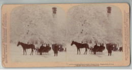 ETATS UNIS #PP1325 NIAGARA FALLS A DRIVE THROUGHT FORET DE CRISTAL CRYSTAL PARK TRAINEAU 1902 - Stereoscopic